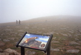 Clouds at Top