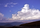 Trail Ridge Road