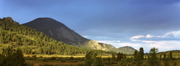 Sheep Lakes Area