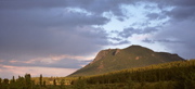 Deer Mountain
