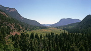 Old Fall River Road View