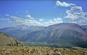 Forest Canyon