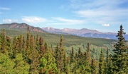Mills Lake Trail