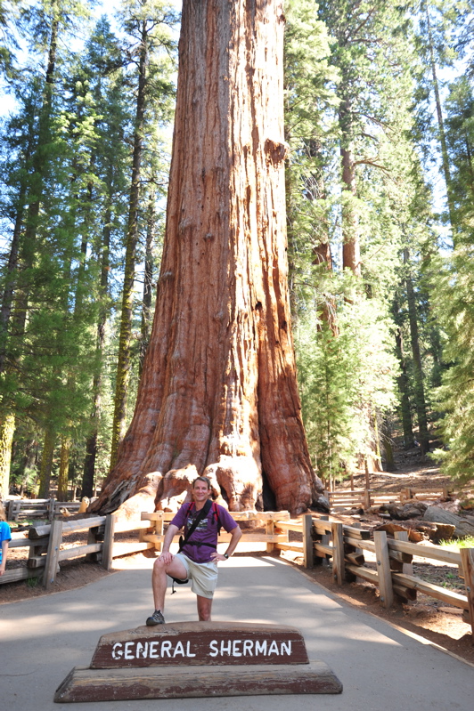 General Sherman Tree