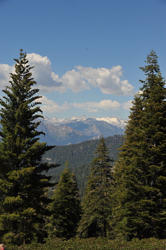 DSC_1110