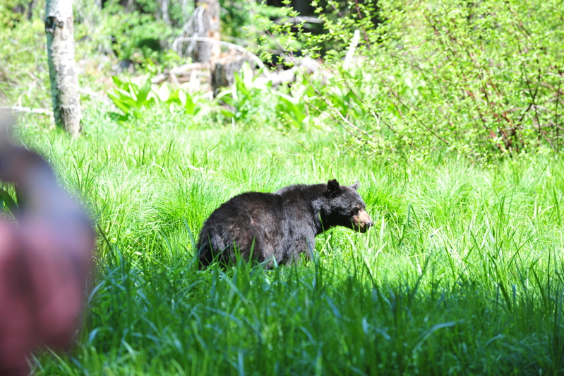 DSC_1319