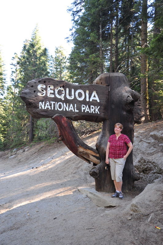 Sequoia Sign