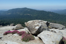 P1000095