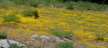 P1000114