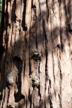 P1000124