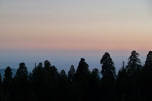 P1000136