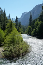 P1000143