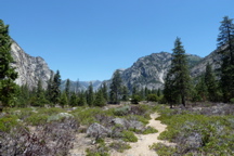 P1000154