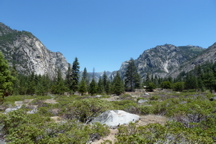 P1000158