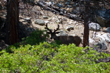 P1000162