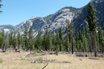P1000174