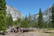 P1000187