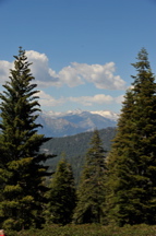 DSC_1110