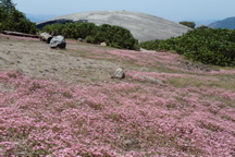 P1000067