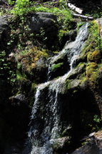 DSC_1384