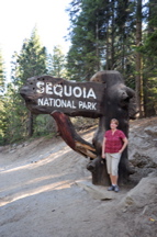 Sequoia Sign