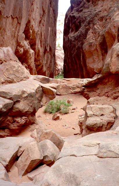 Arches National Park Fiery Furnace Tour Photo