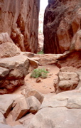 Fiery Furnace Tour
