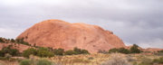 Whale Rock