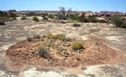 Pothole Point