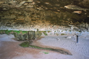 Cave Spring