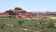 Cave Spring Trail