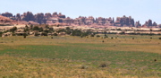 Squaw Flat Needles