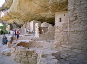 Spruce Tree House