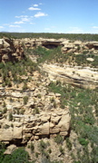 Cliff Palace Viewpoint