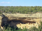 Cliff Palace Viewpoint