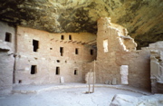 Spruce Tree House