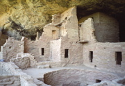 Spruce Tree House