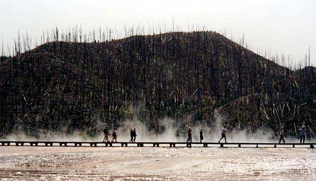 Yellowstone National Park Midway Geyser Basin Photo