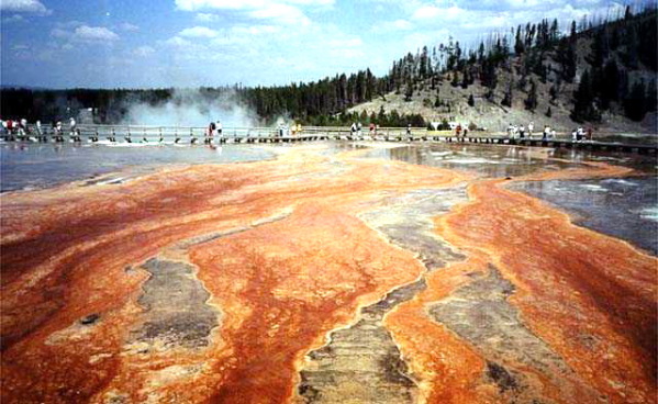 Yellowstone National Park Midway Geyser Basin Photo