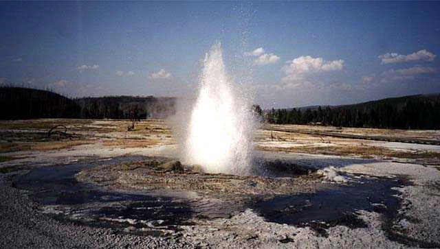 Yellowstone National Park Biscuit Geyser Basin Photo