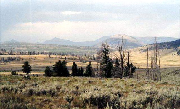 Yellowstone National Park Childrens Firet Tail Photo