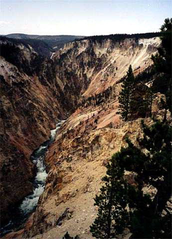 Yellowstone National Park Grand Canyon Of Yellowstone Photo