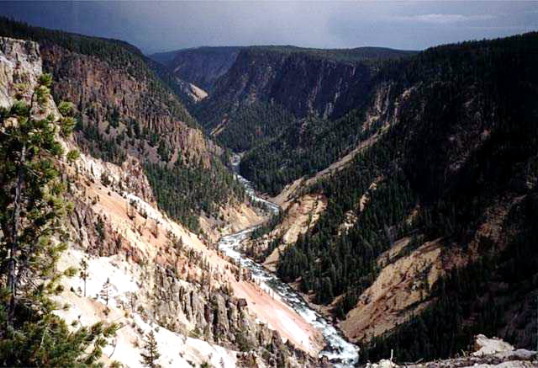 Yellowstone National Park Grand Canyon Of Yellowstone Photo