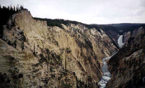 Yellowstone National Park Lower Falls Grand Canyon Photo