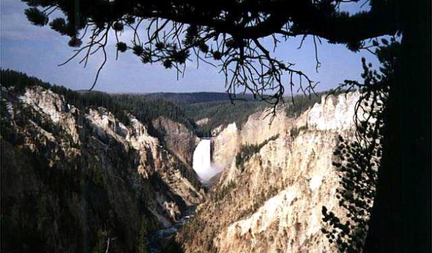 Yellowstone National Park Lower Falls Photo