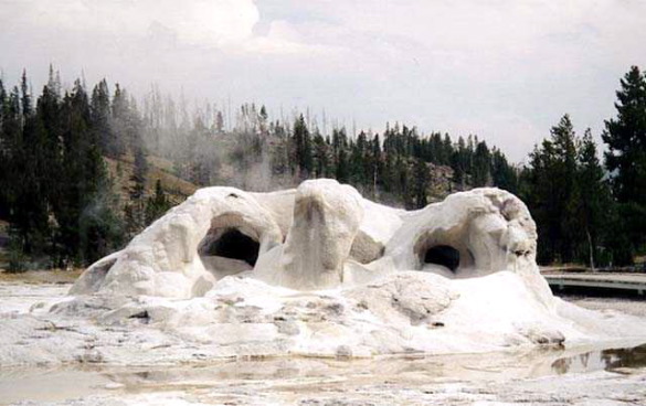 Yellowstone National Park Grotto Geyser Photo