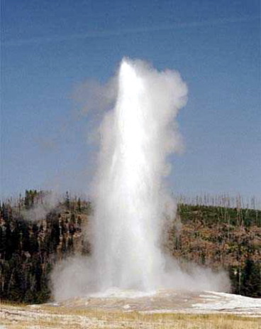 Yellowstone National Park Old Faithful Photo