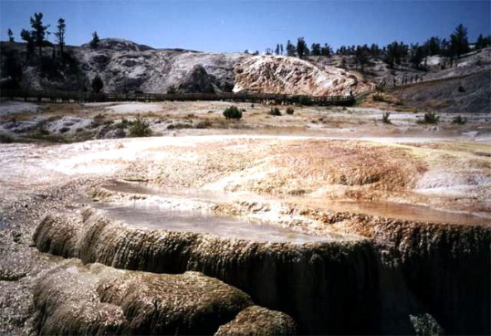 Yellowstone National Park Mammouth Hot Springs Photo