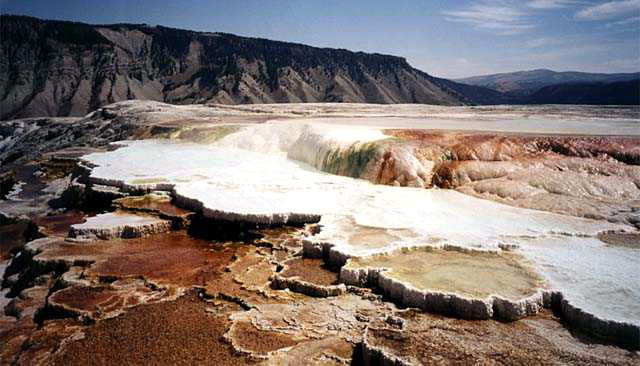 Yellowstone National Park Mammouth Hot Springs Photo