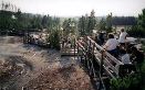 Norris Geyser Basin